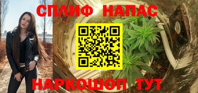 mdpv Ярославль