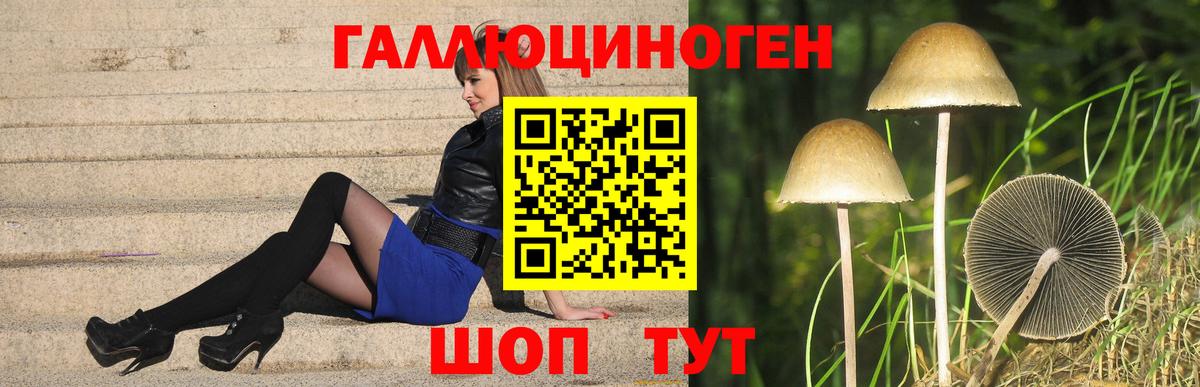 Галлюциногенные грибы ЛСД  Псилоцибиновые грибы Psilocybe  Шали  Вход с VPN 